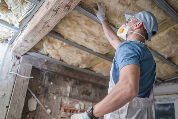 Best Specialized Insulation Services in Henderson, TX